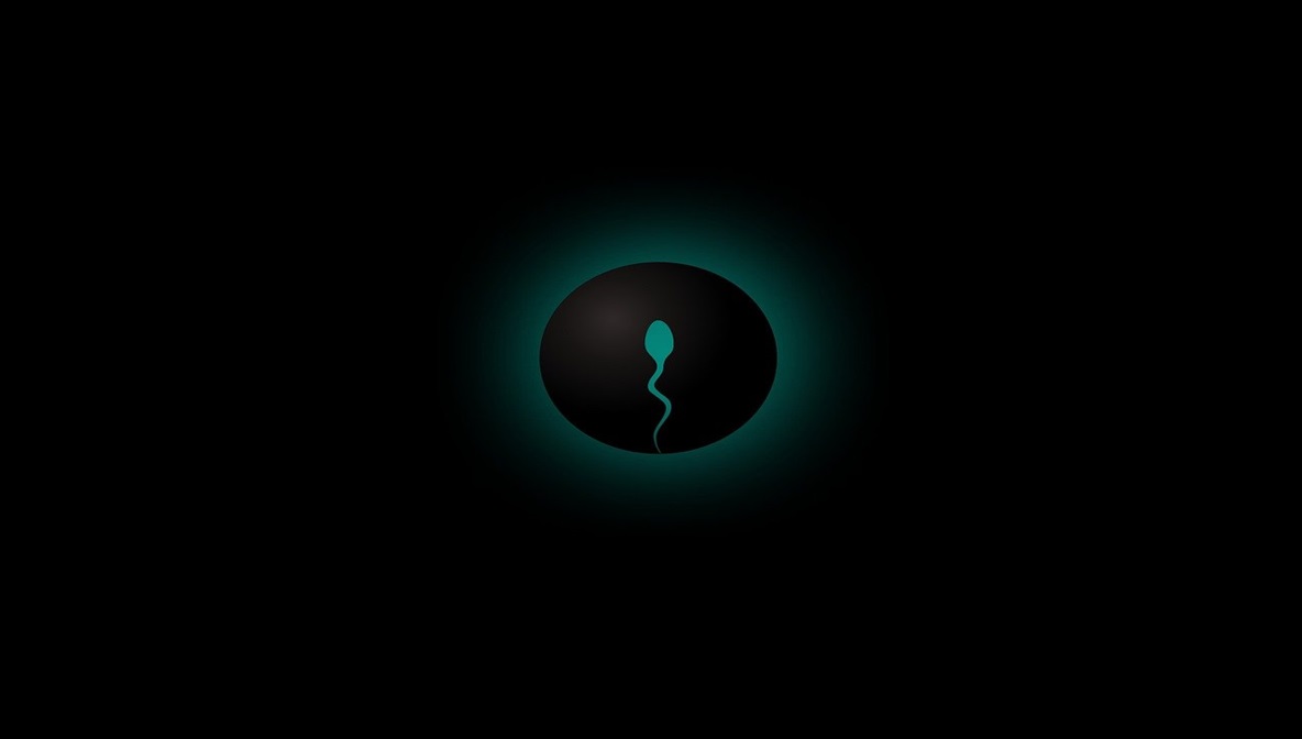 Troubles de la fertilité